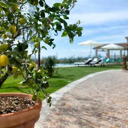 Vakantiehuis Spaccasole Su Cortona Foiano Della Chiana